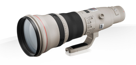 Canon EF 800 mm f 5.6 L IS USM